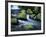 Water Below Wahclella Falls, Columbia River Gorge National Scenic Area, Oregon, USA-Adam Jones-Framed Photographic Print