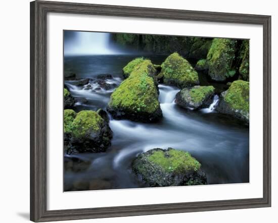 Water Below Wahclella Falls, Columbia River Gorge National Scenic Area, Oregon, USA-Adam Jones-Framed Photographic Print