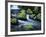 Water Below Wahclella Falls, Columbia River Gorge National Scenic Area, Oregon, USA-Adam Jones-Framed Photographic Print