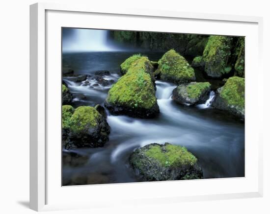 Water Below Wahclella Falls, Columbia River Gorge National Scenic Area, Oregon, USA-Adam Jones-Framed Photographic Print