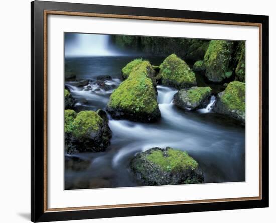 Water Below Wahclella Falls, Columbia River Gorge National Scenic Area, Oregon, USA-Adam Jones-Framed Photographic Print