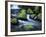 Water Below Wahclella Falls, Columbia River Gorge National Scenic Area, Oregon, USA-Adam Jones-Framed Photographic Print