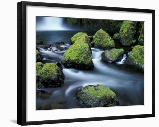 Water Below Wahclella Falls, Columbia River Gorge National Scenic Area, Oregon, USA-Adam Jones-Framed Photographic Print