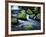 Water Below Wahclella Falls, Columbia River Gorge National Scenic Area, Oregon, USA-Adam Jones-Framed Photographic Print