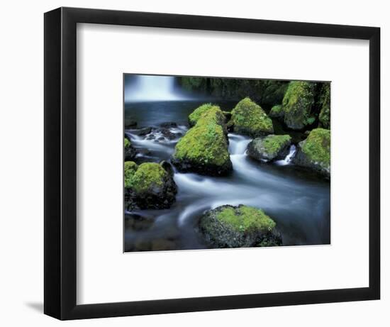 Water Below Wahclella Falls, Columbia River Gorge National Scenic Area, Oregon, USA-Adam Jones-Framed Photographic Print