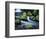 Water Below Wahclella Falls, Columbia River Gorge National Scenic Area, Oregon, USA-Adam Jones-Framed Photographic Print