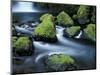 Water Below Wahclella Falls, Columbia River Gorge National Scenic Area, Oregon, USA-Adam Jones-Mounted Photographic Print