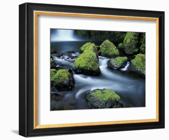 Water Below Wahclella Falls, Columbia River Gorge National Scenic Area, Oregon, USA-Adam Jones-Framed Photographic Print
