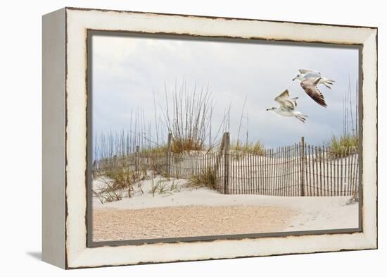 Water Bird Glimpse I-PHBurchett-Framed Stretched Canvas