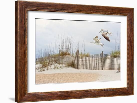 Water Bird Glimpse I-PHBurchett-Framed Art Print