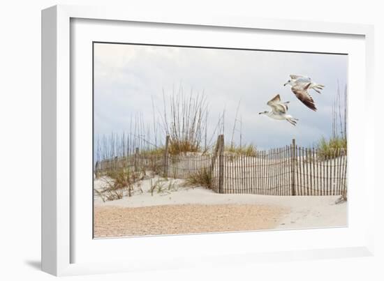 Water Bird Glimpse I-PHBurchett-Framed Art Print