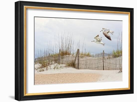 Water Bird Glimpse I-PHBurchett-Framed Art Print