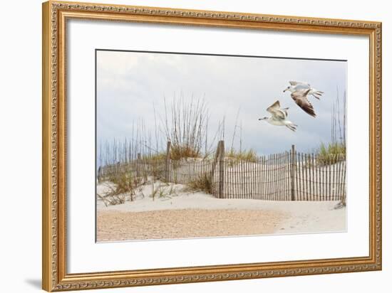 Water Bird Glimpse I-PHBurchett-Framed Art Print