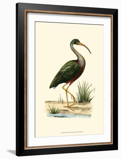 Water Birds II-null-Framed Art Print