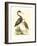 Water Birds III-Meyer H.l.-Framed Art Print