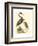 Water Birds III-Meyer H.l.-Framed Art Print