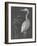 Water Birds - Pause-Aurora Bell-Framed Giclee Print