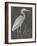 Water Birds - Rest-Aurora Bell-Framed Giclee Print