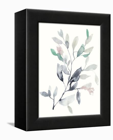 Water Branches II-Jennifer Goldberger-Framed Stretched Canvas