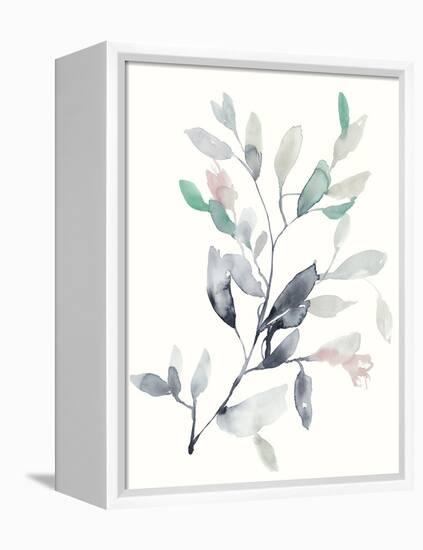 Water Branches II-Jennifer Goldberger-Framed Stretched Canvas