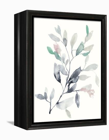 Water Branches II-Jennifer Goldberger-Framed Stretched Canvas