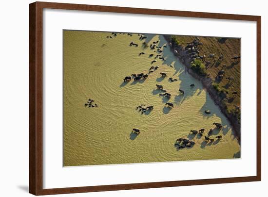 Water Buffalo and Dam Near Siem Reap, Cambodia-David Wall-Framed Photographic Print