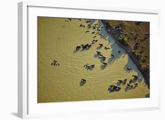 Water Buffalo and Dam Near Siem Reap, Cambodia-David Wall-Framed Photographic Print