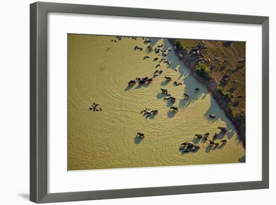 Water Buffalo and Dam Near Siem Reap, Cambodia-David Wall-Framed Photographic Print