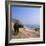 Water Buffalo and Drying Washing on the Banks of the Ganges, Varanasi, Uttar Pradesh State, India-Tony Gervis-Framed Photographic Print