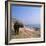 Water Buffalo and Drying Washing on the Banks of the Ganges, Varanasi, Uttar Pradesh State, India-Tony Gervis-Framed Photographic Print