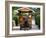 Water Buffalo Cart, Taketomi Island, Okinawa, Japan-Rob Tilley-Framed Photographic Print