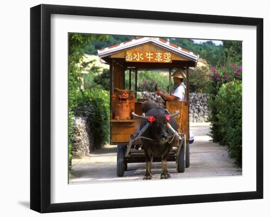 Water Buffalo Cart, Taketomi Island, Okinawa, Japan-Rob Tilley-Framed Photographic Print