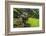 Water Buffalo Plowing Through the Rice Terraces of Banaue, Northern Luzon, Philippines-Michael Runkel-Framed Photographic Print