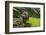 Water Buffalo Plowing Through the Rice Terraces of Banaue, Northern Luzon, Philippines-Michael Runkel-Framed Photographic Print