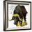 Water Buffalo-English School-Framed Giclee Print