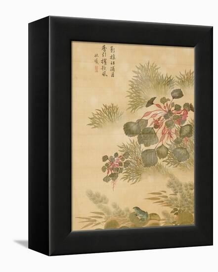 Water Caktrios and Frog-Ma Yuanyu-Framed Premier Image Canvas