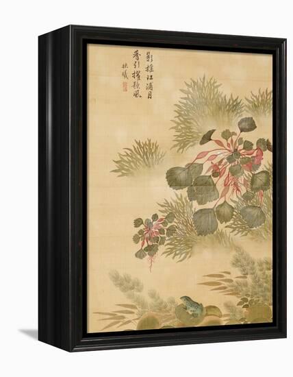 Water Caktrios and Frog-Ma Yuanyu-Framed Premier Image Canvas