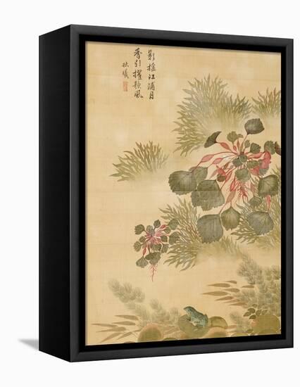 Water Caktrios and Frog-Ma Yuanyu-Framed Premier Image Canvas