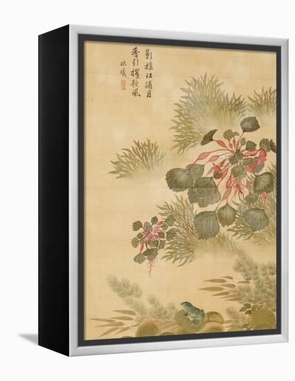 Water Caktrios and Frog-Ma Yuanyu-Framed Premier Image Canvas