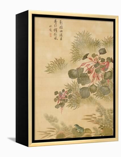 Water Caktrios and Frog-Ma Yuanyu-Framed Premier Image Canvas