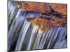 Water Cascades over Red Rock of Reynolds Creek, Glacier National Park, Montana, USA-Chuck Haney-Mounted Photographic Print