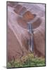 Water Cascading from Ayers Rock-Paul Souders-Mounted Photographic Print