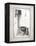 Water Closet I-Gwendolyn Babbitt-Framed Stretched Canvas