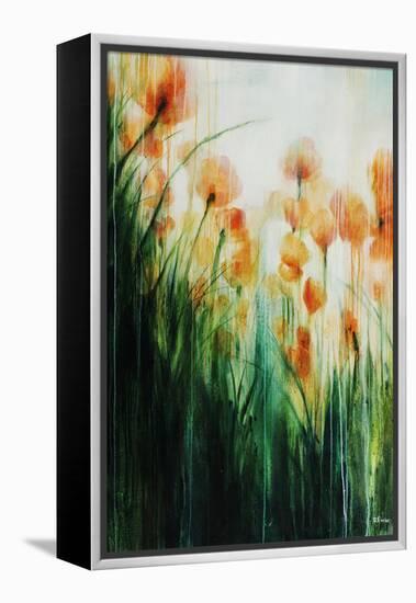 Water Color Poppy Feild-Rikki Drotar-Framed Premier Image Canvas