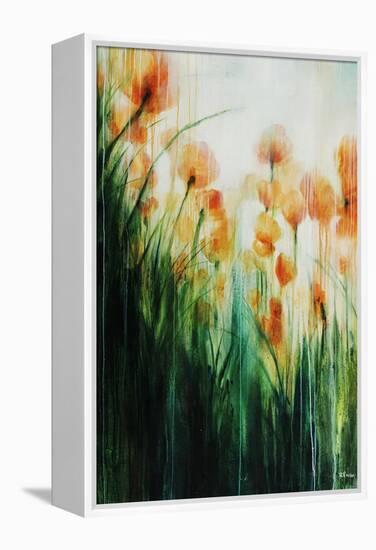 Water Color Poppy Feild-Rikki Drotar-Framed Premier Image Canvas