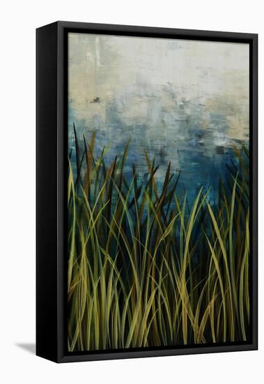 Water Course II-Kari Taylor-Framed Premier Image Canvas