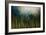 Water Course-Kari Taylor-Framed Giclee Print