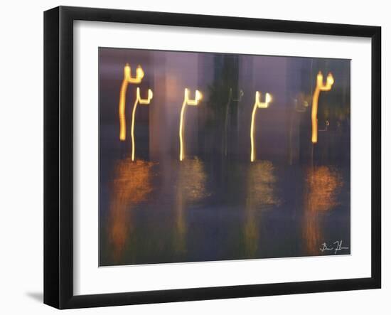 Water Dance-5fishcreative-Framed Giclee Print