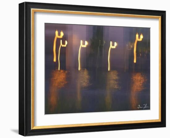 Water Dance-5fishcreative-Framed Giclee Print