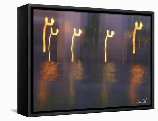 Water Dance-5fishcreative-Framed Premier Image Canvas